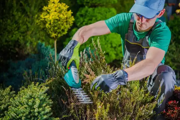 landscaping services Village of Clarkston